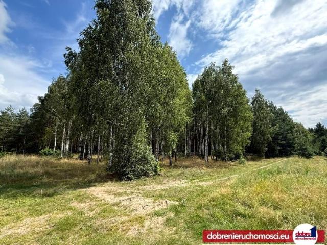 Działka 1 364 m², Łochowice