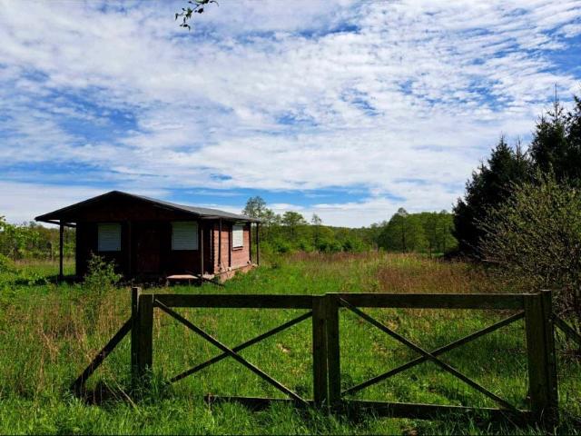 Działka 1 366 m², Jelenin