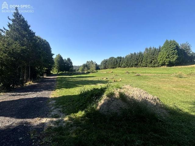 Działka 1 369 m², Wodzisław Śląski