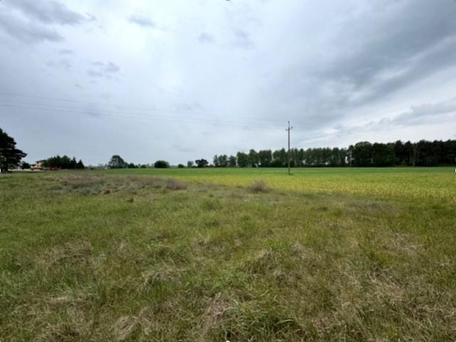 Działka 1 390 m², Dzikowo