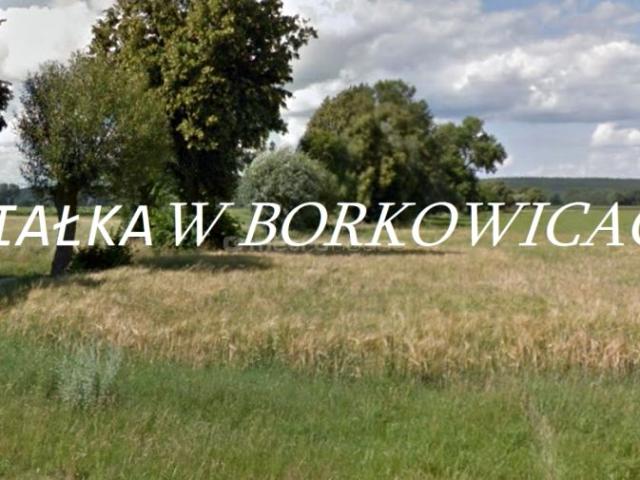 Działka 1 406 m², Borkowice