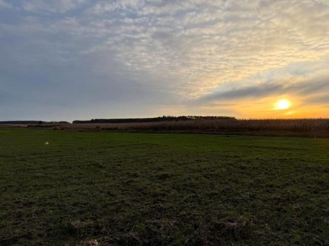 Działka 1 400 m², Oleśniczka