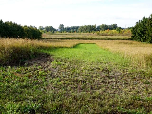 Działka 1 400 m², Lubowo