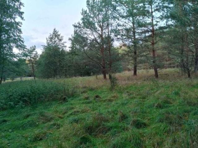 Działka 1 400 m², Marksewo