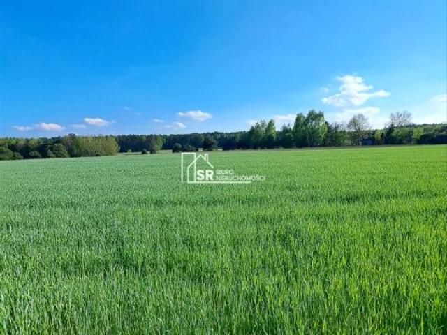 Działka 1 400 m², Rembów