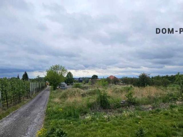 Działka 1 400 m², Rybitwy