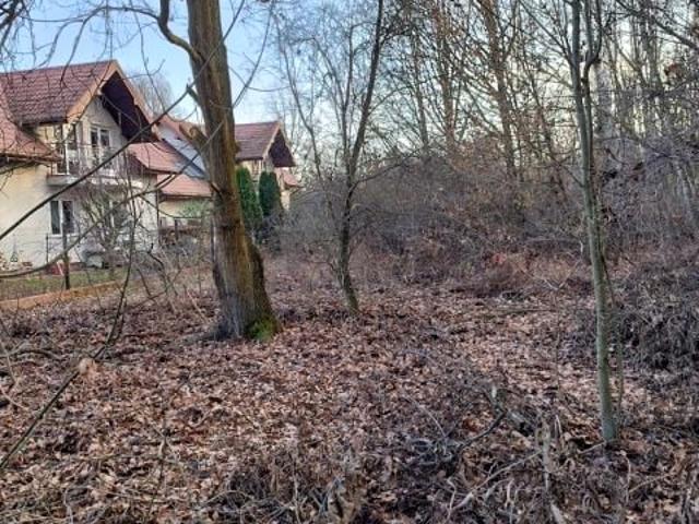 Działka 1 403 m², Brwinów