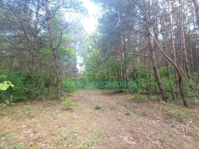 Działka 1 425 m², Książenice