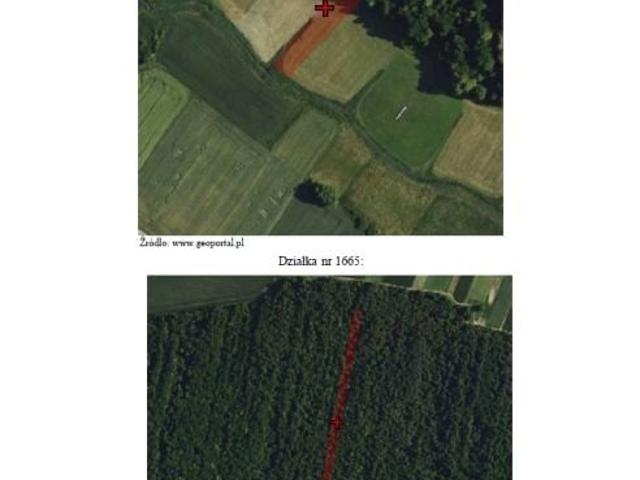 Działka 1 427 m², Siemierz