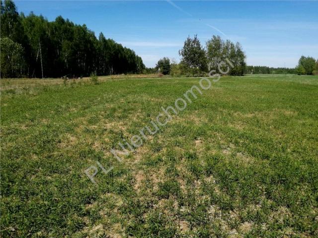 Działka 1 433 m², Jędrzejnik