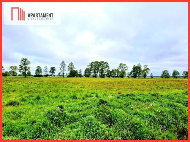 Działka 1 440 m², Dziemionna