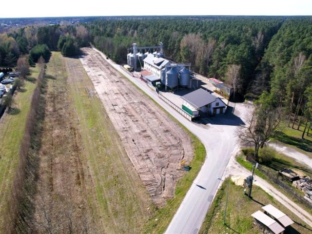 Działka 1 456 m², Dąbrowica