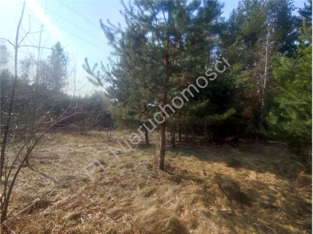 Działka 1 456 m², Wolica