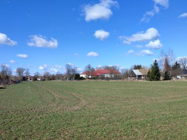 Działka 1 450 m², Pisanica