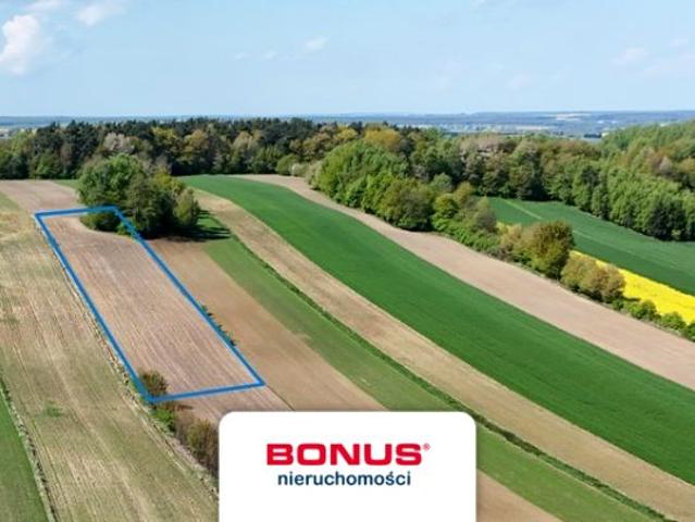 Działka 1 453 m², Piotrków Pierwszy