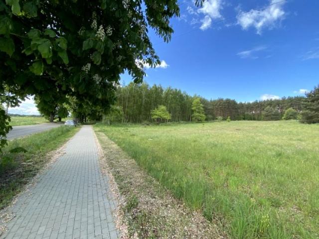 Działka 1 463 m², Buk