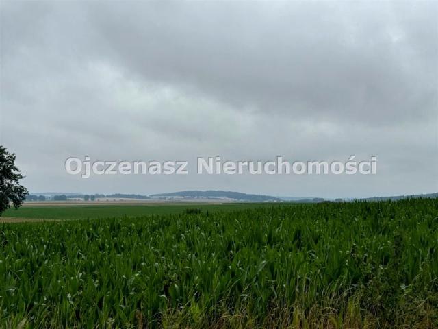 Działka 1 477 m², Niemcz