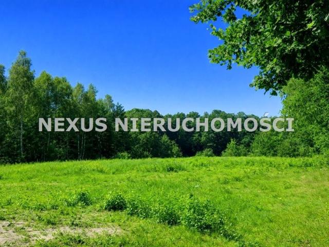 182241 1 488 m², Dąbrowa Górnicza