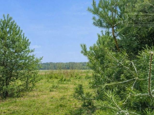 Działka 1 495 m², Siestrzeń