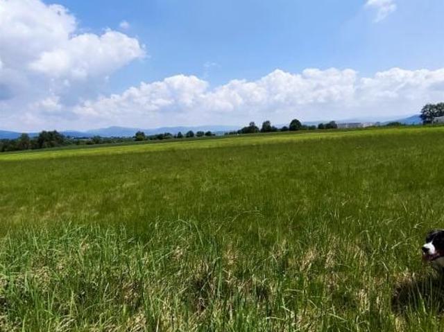 Działka 1 507 m², Lipowa