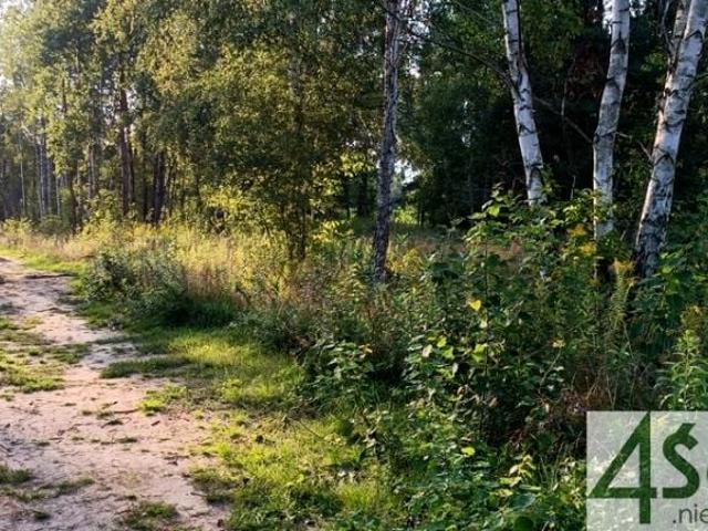 Działka 1 500 m², Czarny Las
