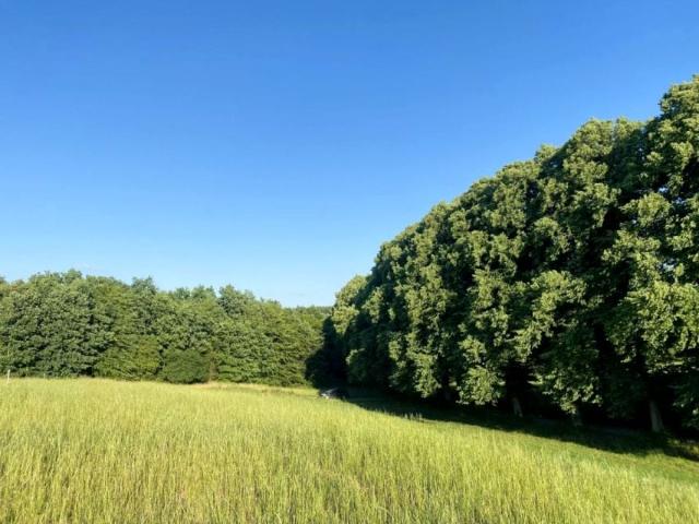 Działka 1 500 m², Łapino Kartuskie