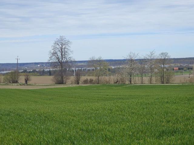 Działka 1 500 m², Żarnowiec