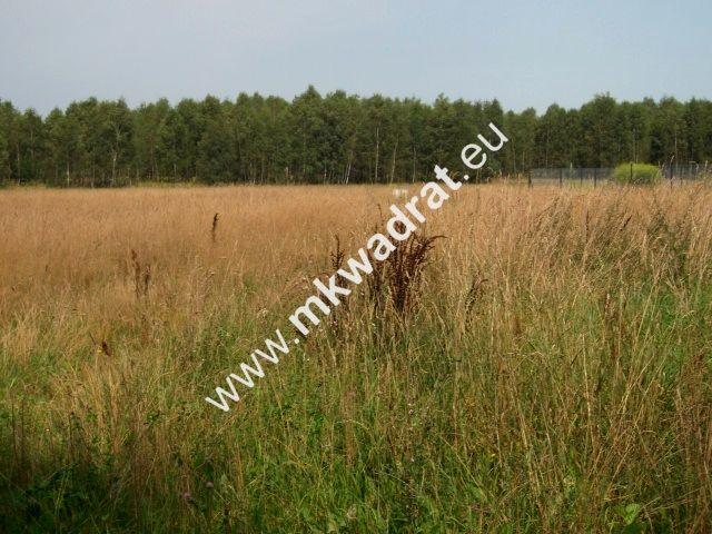 Działka 1 500 m², Siestrzeń