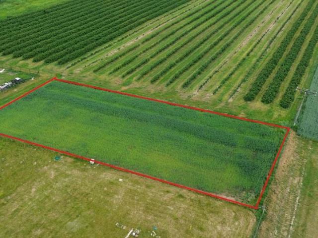 Działka 1 500 m², Skrzynice Kolonia