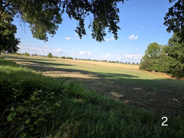 Działka 1 600 m², Strachosław