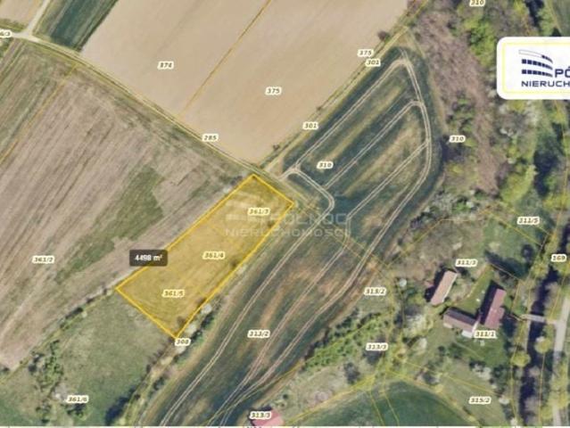 Działka 1 500 m², Szalejów Dolny