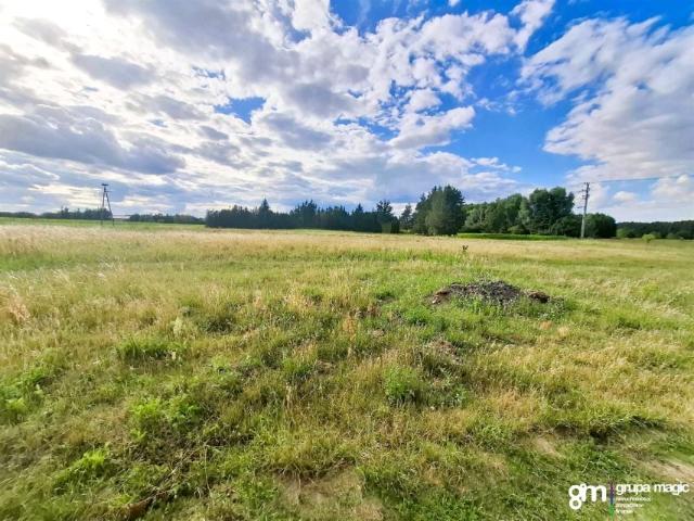 101 1 500 m², Pędzewo