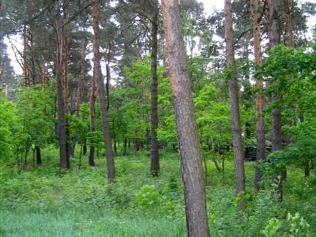 Działka 1 500 m², Warszawa