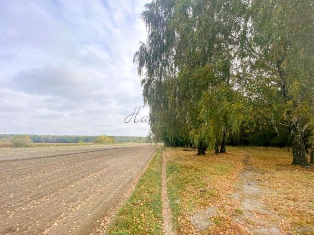 Działka 1 500 m², Warszawa