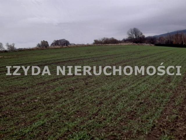 Działka 1 500 m², Witoszów Dolny