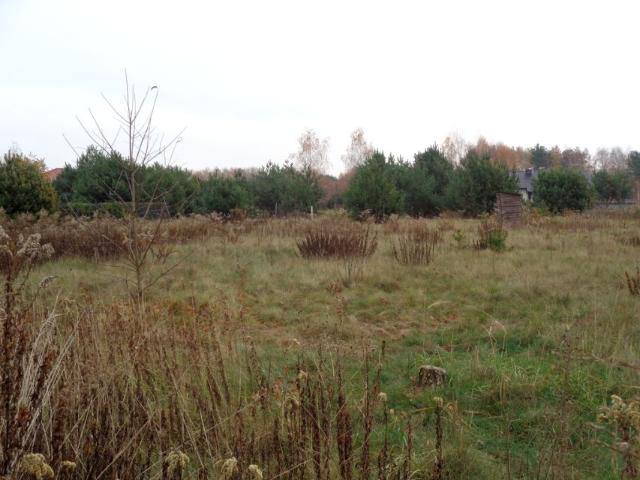 Działka 1 500 m², Wilkowa Wieś