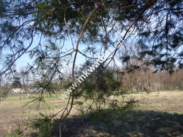 Działka 1 501 m², Komorów