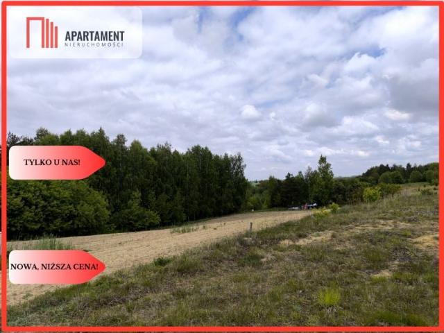 Działka 1 502 m², Dylewo