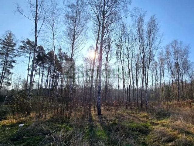 Działka 1 502 m², Mościska