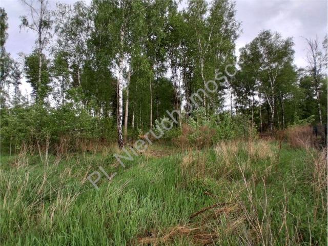 Działka 1 502 m², Musuły