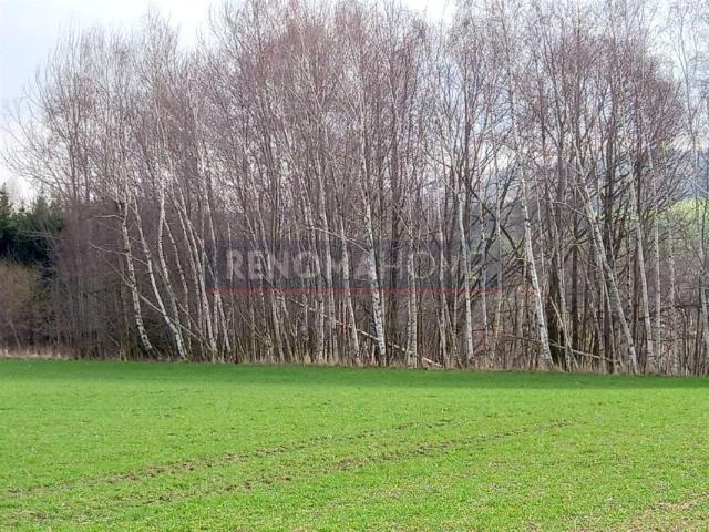Działka 1 518 m², Witoszów Górny