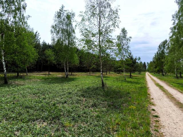 Działka 1 510 m², Łaziska