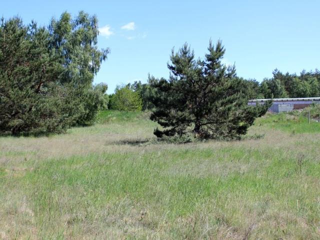 Działka 1 527 m², Nowe Dąbie