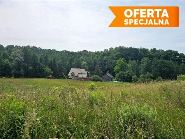 Działka 1 528 m², Owczary
