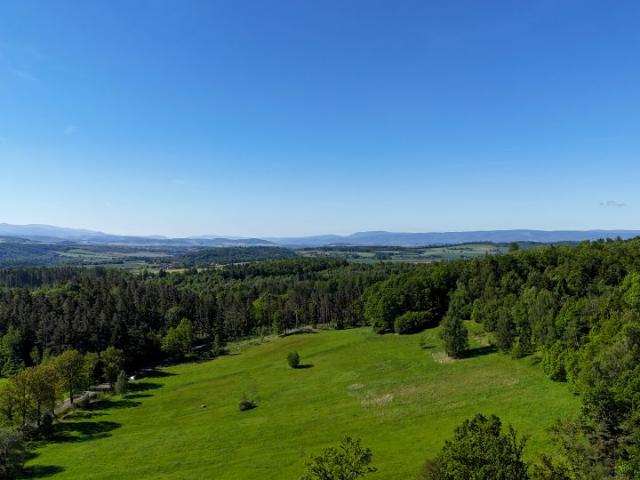 Działka 1 529 m², Wilcza