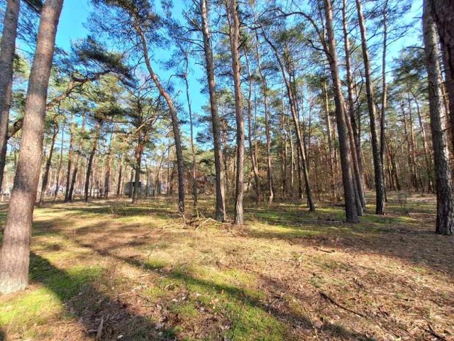 Działka 1 520 m², Borek
