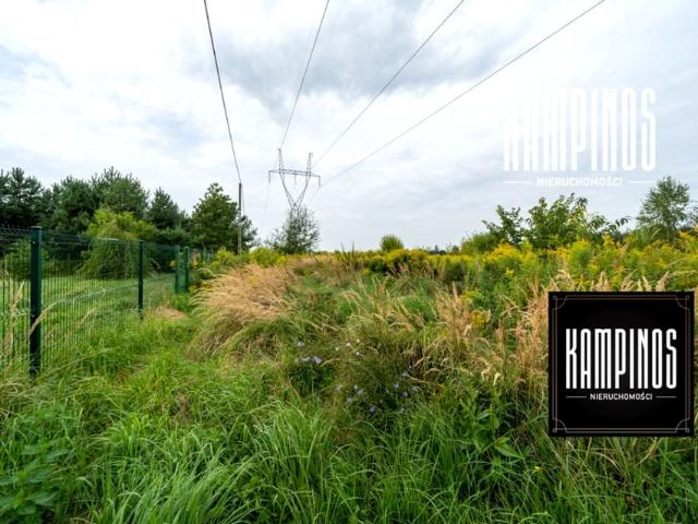 Działka 1 538 m², Wąsy Kolonia
