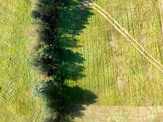 Działka 1 547 m², Czerna