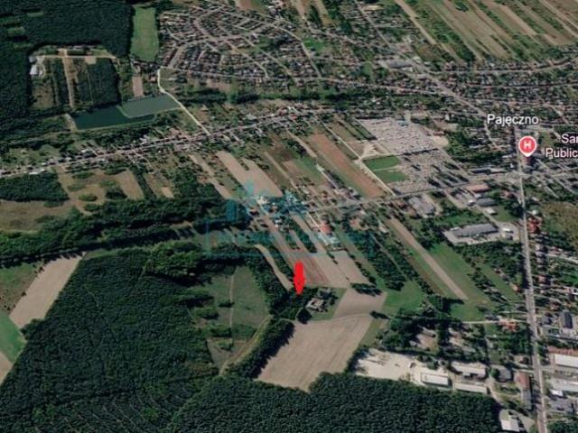 Leśna 1 547 m², Pajęczno
