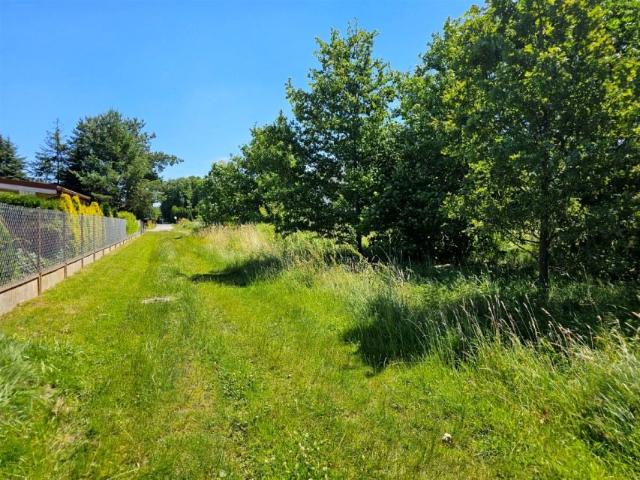 Dobra 1 540 m², Dobroń